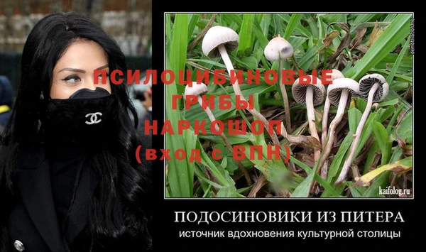 гашик Балабаново