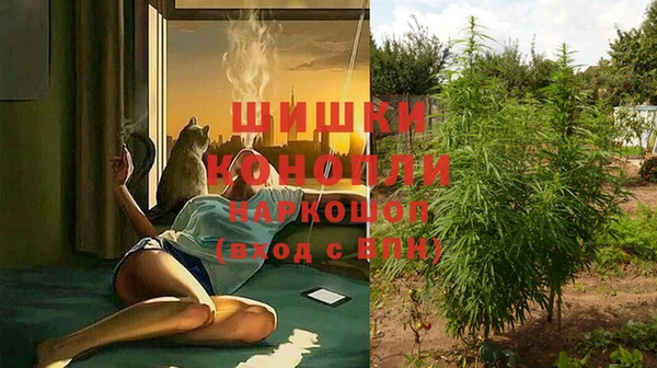 гидра Баксан
