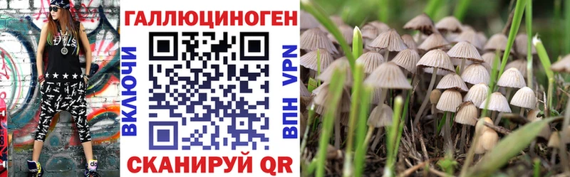 Псилоцибиновые грибы GOLDEN TEACHER нарко площадка телеграм Ветлуга