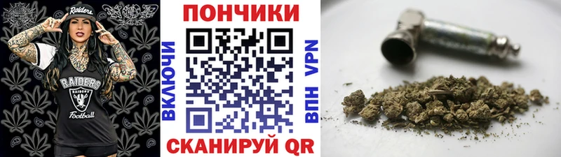 Бошки марихуана конопля  Ветлуга 
